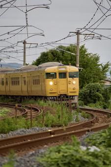 山陽本線 113系,115系,黄色の写真素材