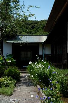 ［神奈川県鎌倉市］海蔵寺｜花の寺 鎌倉,海蔵寺,桔梗の写真素材