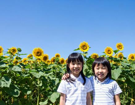 ひまわりと青空と子供たち ひまわりと青空と子供たちの写真