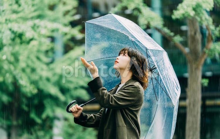 雨の中で傘をさす女性（梅雨・6月） 雨,梅雨,6月の写真素材