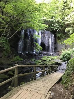 森と滝 森と滝 森,自然,夏の写真素材