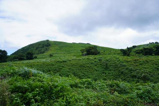 自然の風景 自然の風景の写真