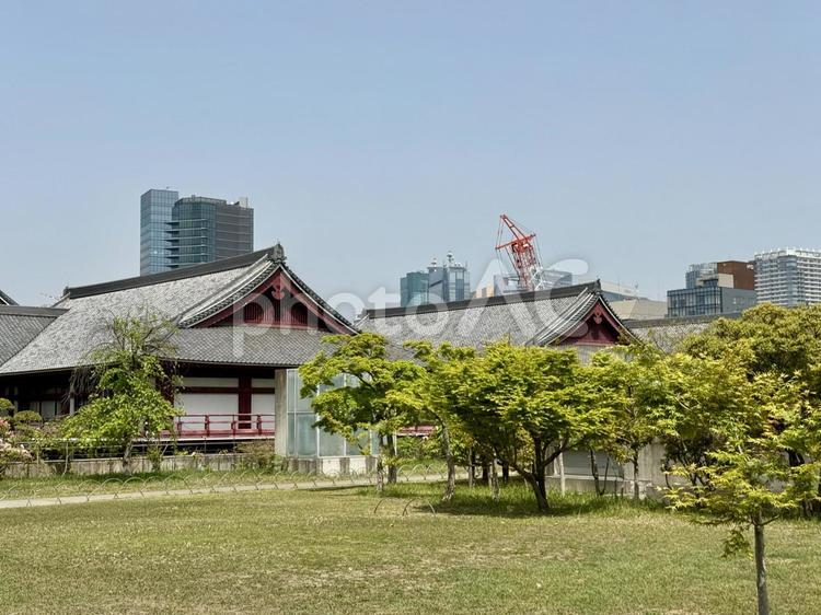 春の芝公園 草むら,原っぱ,道路の写真素材