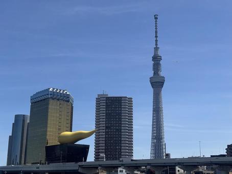スカイツリー 東京,スカイツリー,東京スカイツリーの写真素材