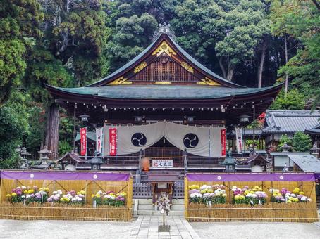 【滋賀県】近江八幡市・日牟禮八幡宮 日牟禮八幡宮,寺社仏閣,近江八幡の写真素材
