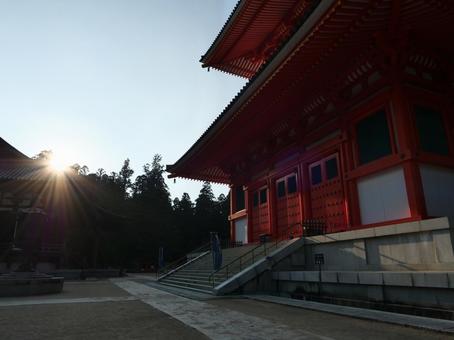 高野山 金剛峰寺 境内 高野山 金剛峰寺 境内の写真