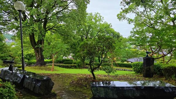 雨の武蔵塚公園 ベンチ 雨の武蔵塚公園 ベンチ 武蔵塚公園,屋外,木の写真素材