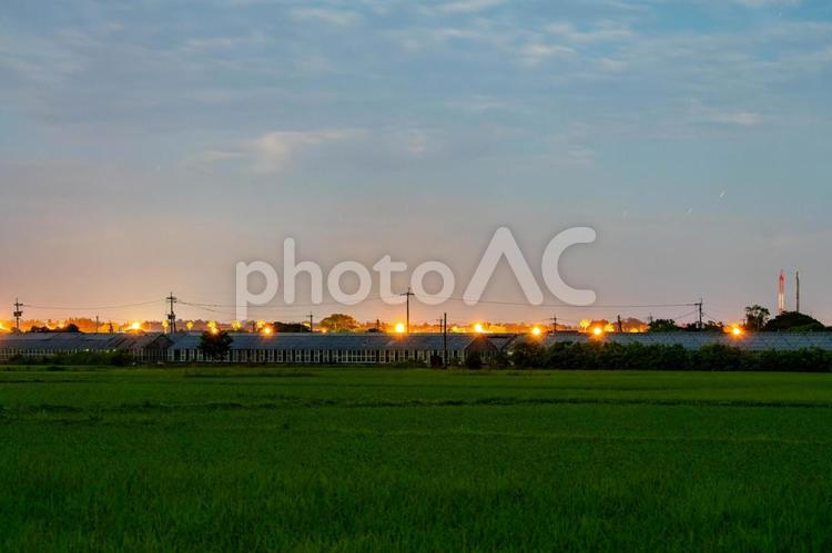 真夜中の田園 夜景,夜,深夜の写真素材
