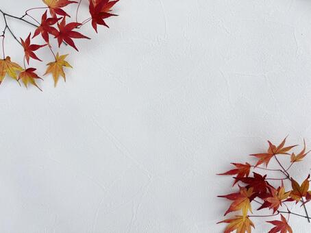 紅葉のもみじ3 もみじ,赤,秋の写真素材