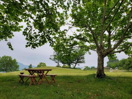 グリーンヒルズの初夏(津山市) グリーンヒルズの初夏(津山市)の写真