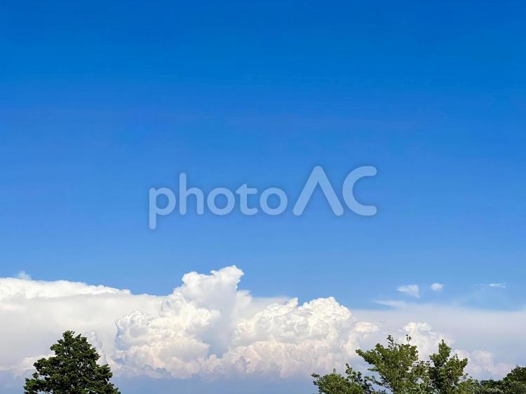 美しい自然風景 背景,夏,空の写真素材