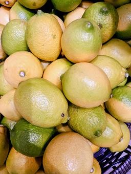 青みがあるレモン 果物,レモン,lemonの写真素材