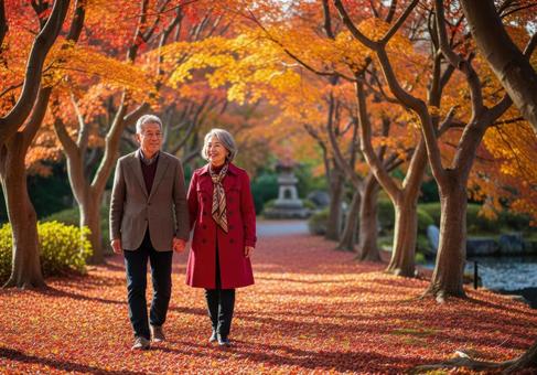 手をつなぎ紅葉道を散策するシニアカップル 手をつなぎ紅葉道を散策するシニアカップルの写真