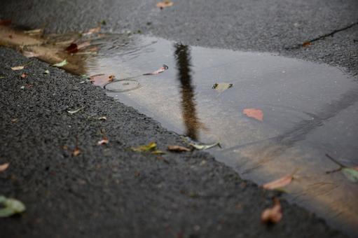 透き通る水たまりと波紋 雨,水たまり,波紋の写真素材