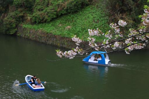 千鳥ヶ淵の桜とボート 千鳥ヶ淵の桜とボートの写真