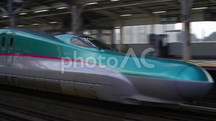 東北新幹線　E5系　先頭部分 新幹線,東北新幹線,はやぶさの写真素材