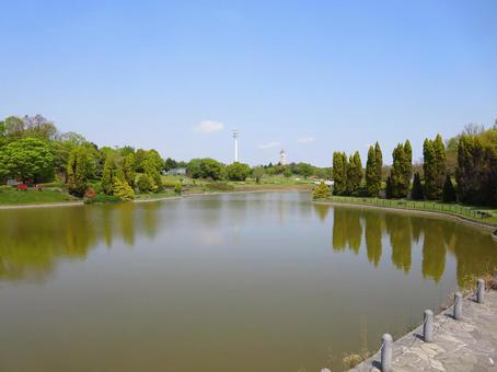あいち健康の森公園 あいち健康の森公園,公園,池の写真素材