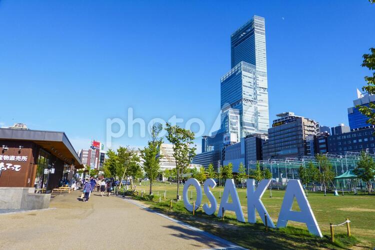 大阪 天王寺公園 あべのハルカス,ハルカス,都会の写真素材