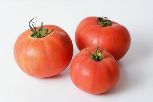 トマト トマト,野菜,サラダの写真素材