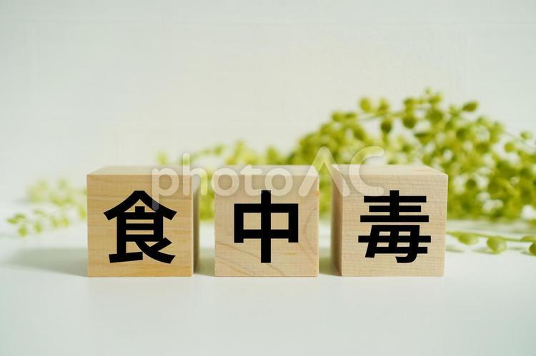 木製ブロックに『食中毒』の文字 食中毒,衛生,食品の写真素材