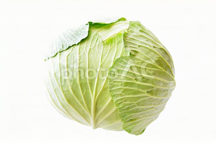 キャベツ　イメージ　切り抜き キャベツ,甘藍,野菜の写真素材