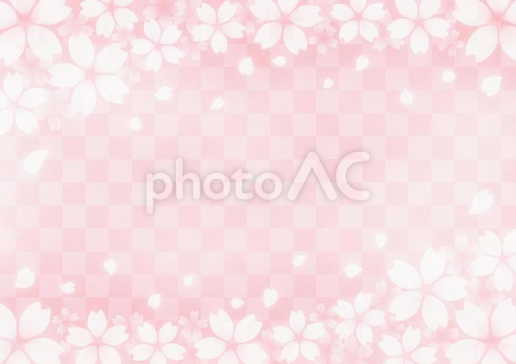 桜吹雪と市松模様　和風背景素材（ピンク） 桜吹雪,和風,市松模様の写真素材