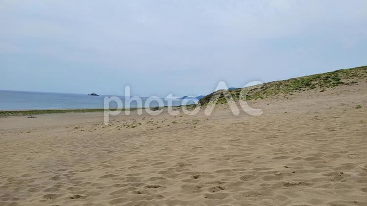 砂丘と海と雑草 砂丘,海,雑草の写真素材