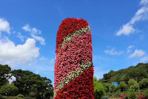 7月中旬のさぬきフラワーガーデンの花 7月中旬のさぬきフラワーガーデンの花の写真