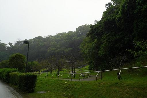 山 山の写真