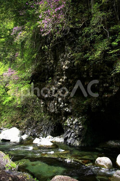 新緑の山里に初夏の風情 川,岐阜県,小坂の滝の写真素材