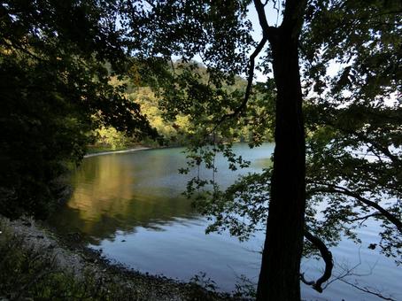 洞爺湖の中島自然道 自然,背景,山道の写真素材