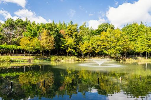 公園の風景⑸ 公園の風景⑸ 公園,木々,緑の写真素材