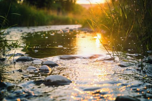 夕暮れにきらめく夏の川辺 夕暮れにきらめく夏の川辺の写真