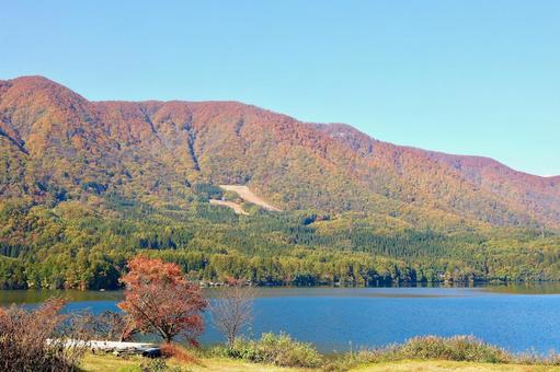 紅葉　青木湖 秋,山,自然の写真素材