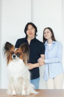 ペットをお迎えした夫婦 保険,契約,ペット保険の写真素材