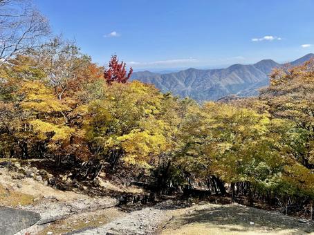 丘と紅葉 丘と紅葉 緑,自然,快晴の写真素材