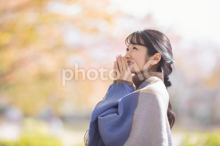 秋・冬を感じる女性 秋,紅葉,女性の写真素材