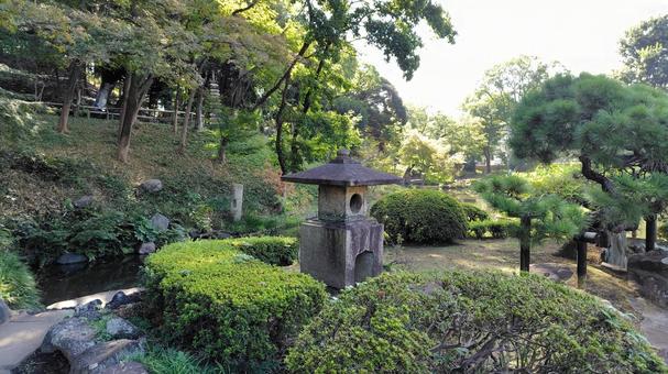 肥後細川庭園 日本庭園,庭園,和風庭園の写真素材