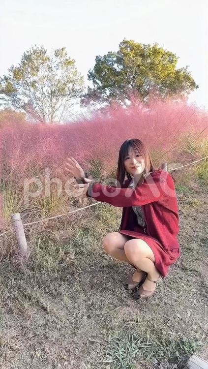自然と花と女性(女装) 花,赤,自然の写真素材