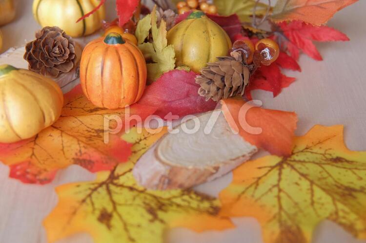 秋のイメージ素材 秋,ハロウィン,素材の写真素材