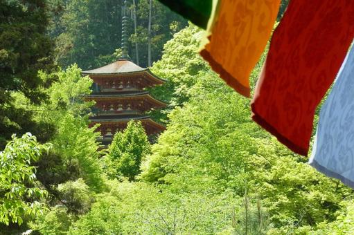 長谷寺 五重塔 五色幕 新緑 長谷寺 五重塔 五色幕 新緑の写真