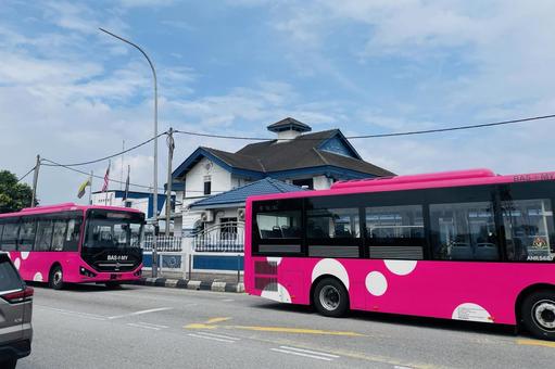Photo, bus, pink bus, municipal bus, 