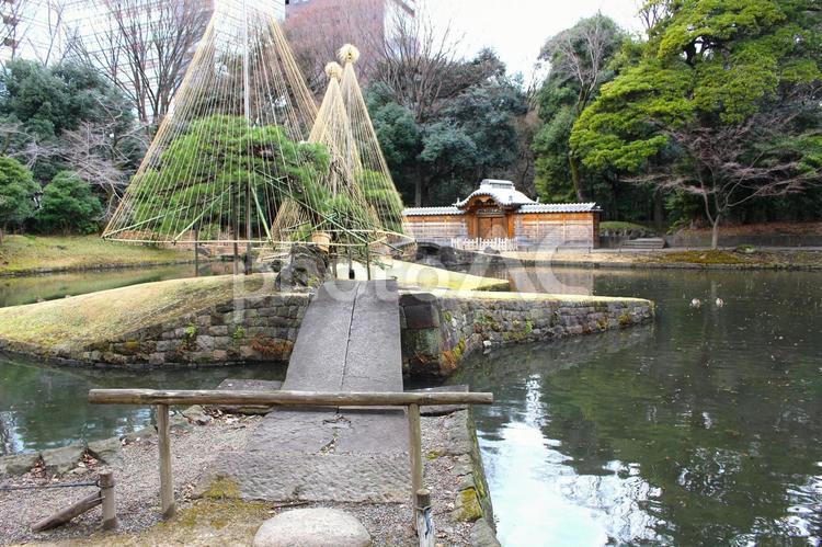 小石川後楽園の池 池,植物,小石川後楽園の写真素材