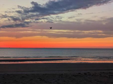 オレンジの世界 夕陽,海,風景の写真素材