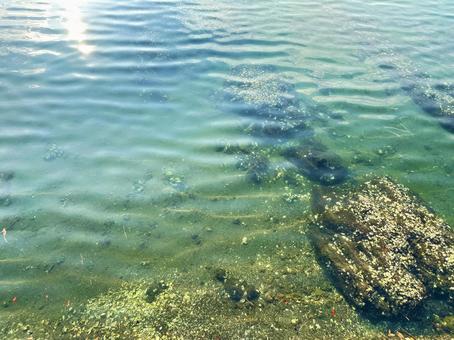 海岸　夏の海　磯 海,景色,岩の写真素材
