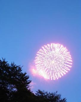 夜空の花火 夜空の花火の写真