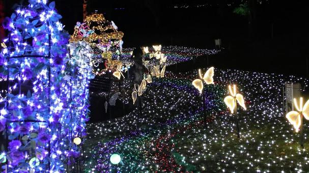 虹の郷　イルミネーション イルミネーション,クリスマス,夜景の写真素材