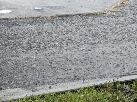 打ち付ける雨 03 打ち付ける雨 03 雨,降る,土砂降りの写真素材