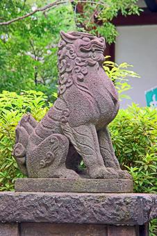 稲毛神社(川崎) 稲毛神社(川崎)の写真