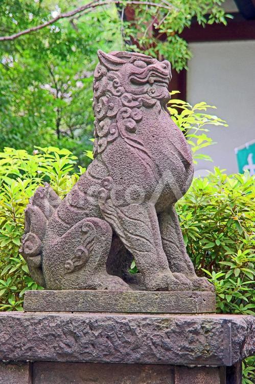 稲毛神社（川崎） 稲毛神社,武甕槌神,経津主神の写真素材